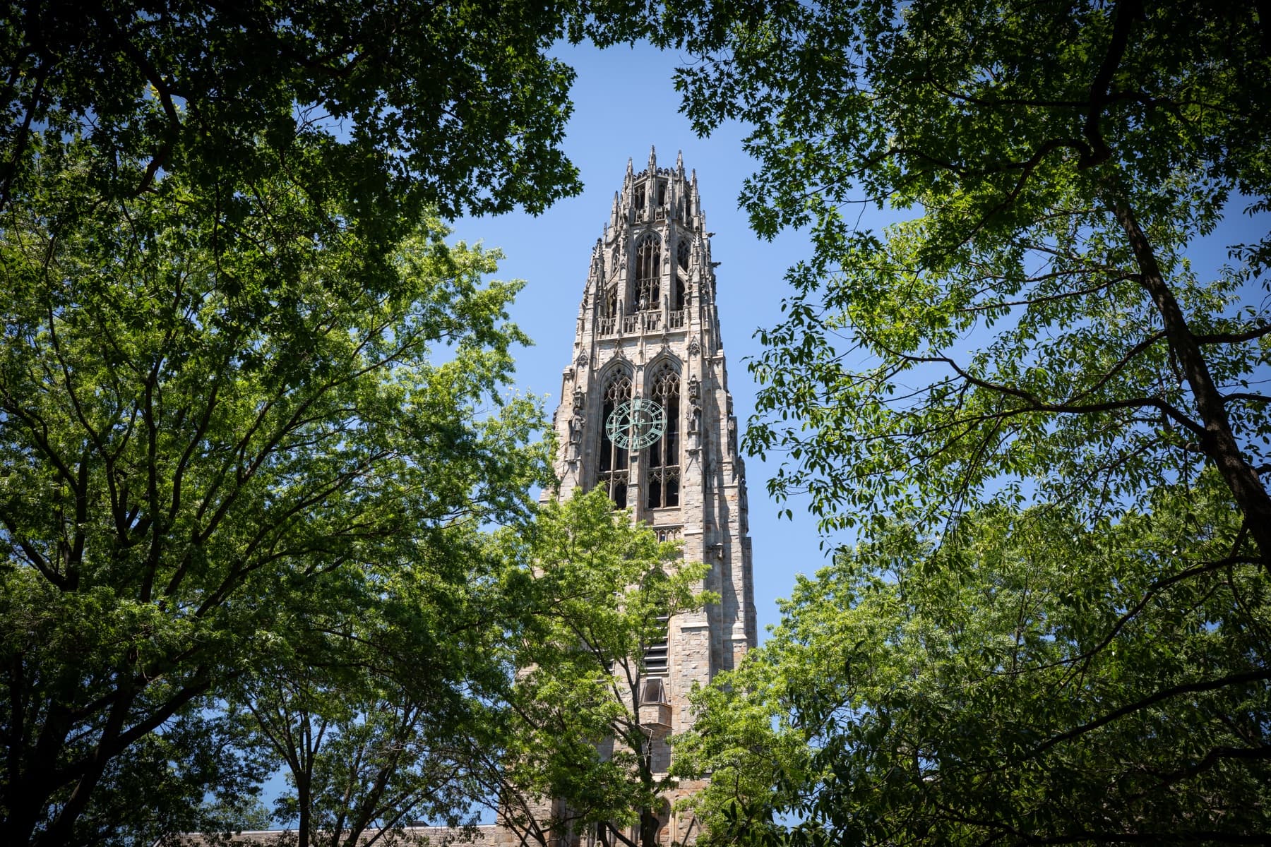 Harkness Tower rising above the trees on Yale's campus in New Haven.